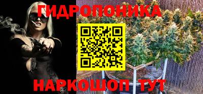 ПСИЛОЦИБИНОВЫЕ ГРИБЫ Янаул