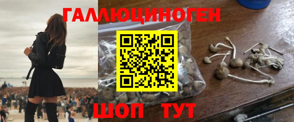 Галлюциногенные грибы прущие грибы  Галлюциногенные грибы Psilocybe  что такое наркотик  Комсомольск-на-Амуре  Вход с VPN 